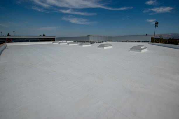 Best Roof Maintenance and Cleaning  in Shasta, CA