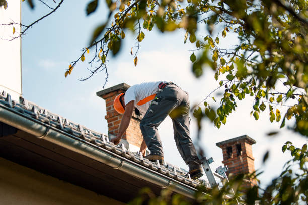 Best Rubber Roofing (EPDM, TPO)  in Shasta, CA