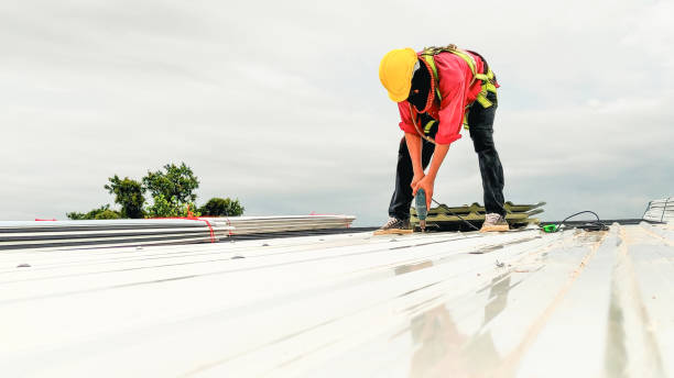 Best Storm Damage Roof Repair  in Shasta, CA